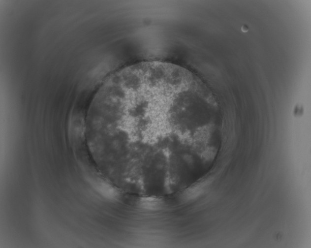X0000092320240200709281412