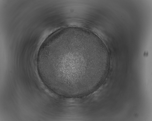 X0000092320241200709281412