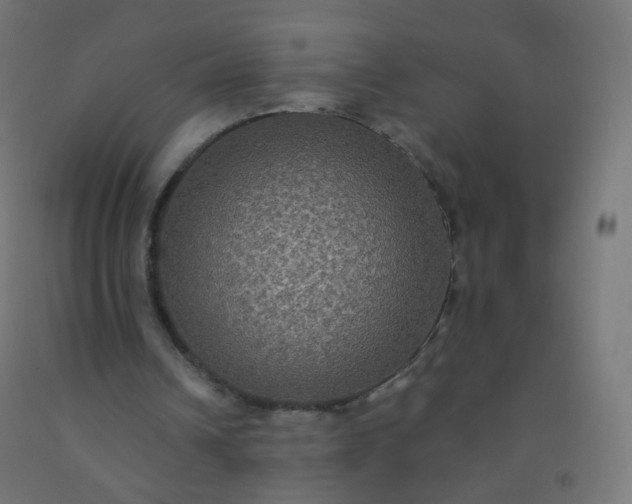 X0000092320242200709281412