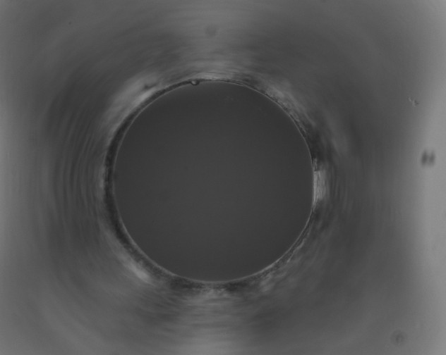X0000092320243200709281412