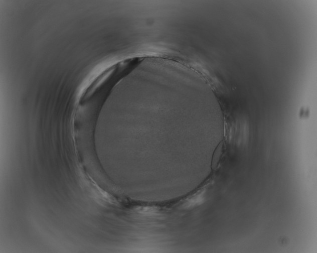 X0000092320244200709281412