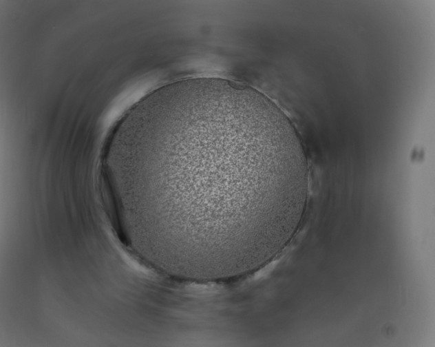 X0000092320245200709281412