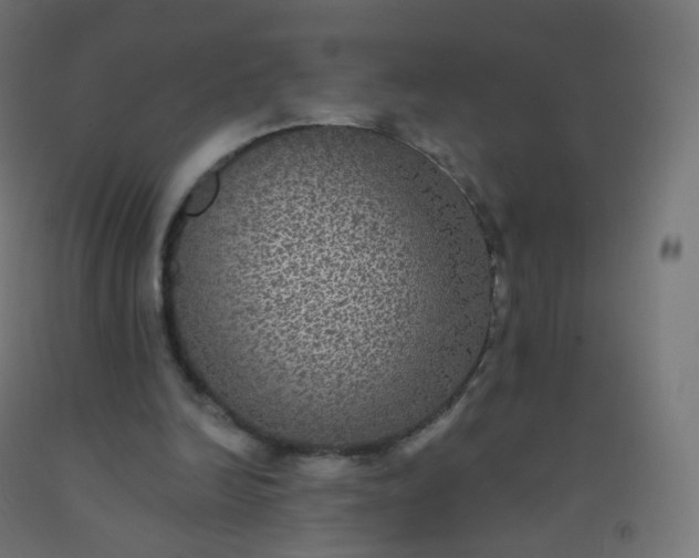 X0000092320246200709281412