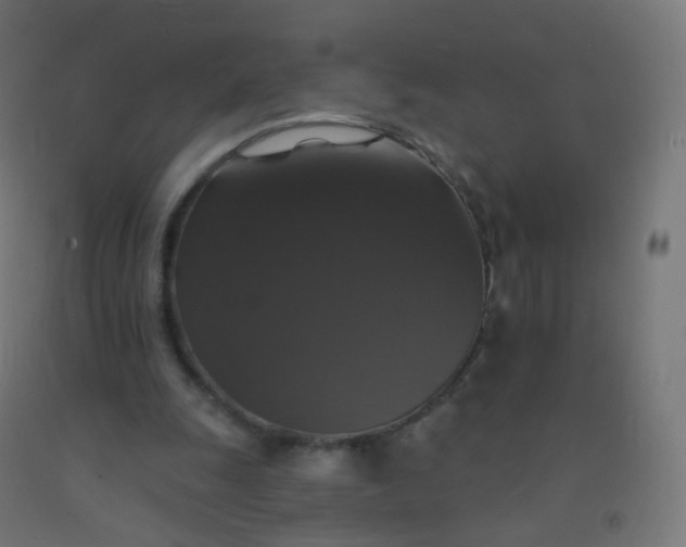 X0000092320247200709281412