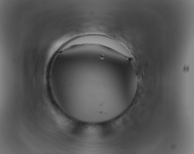 X0000092320248200709281412