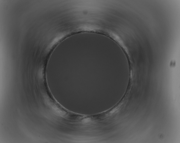 X0000092320249200709281412