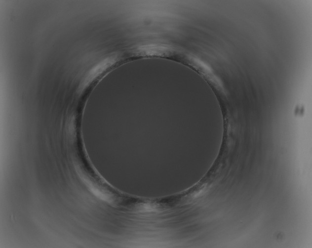 X0000092320250200709281412