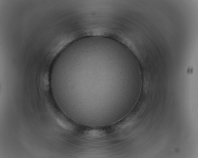 X0000092320251200709281412