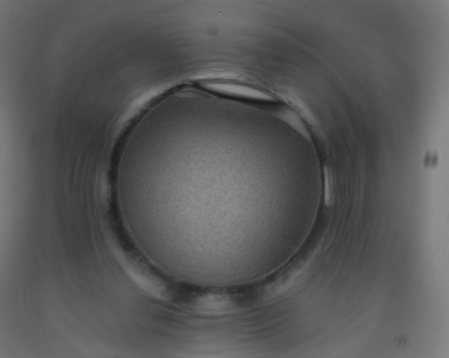 X0000092320252200709281412