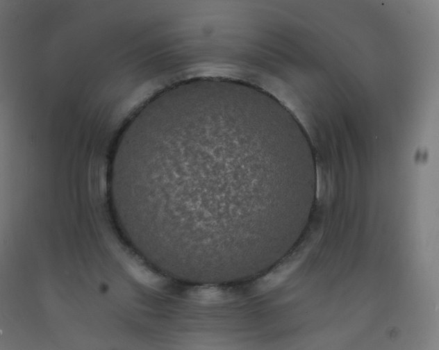 X0000092320253200709281412