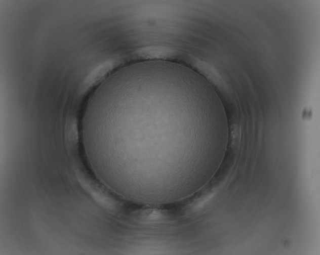 X0000092320254200709281412