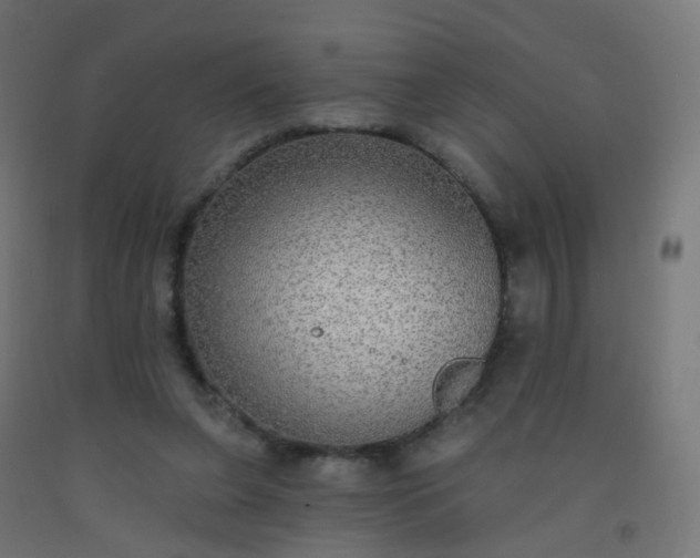 X0000092320255200709281412