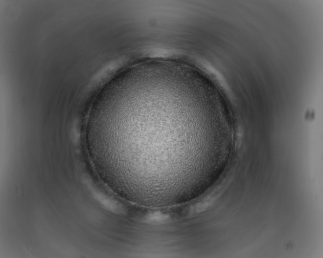 X0000092320257200709281412