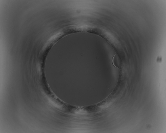 X0000092320258200709281412