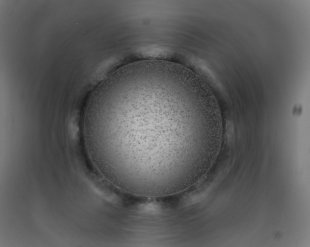 X0000092320259200709281412