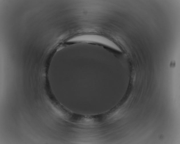 X0000092320260200709281412