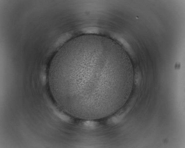 X0000092320261200709281412