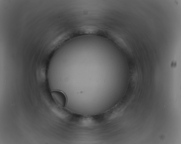 X0000092320262200709281412