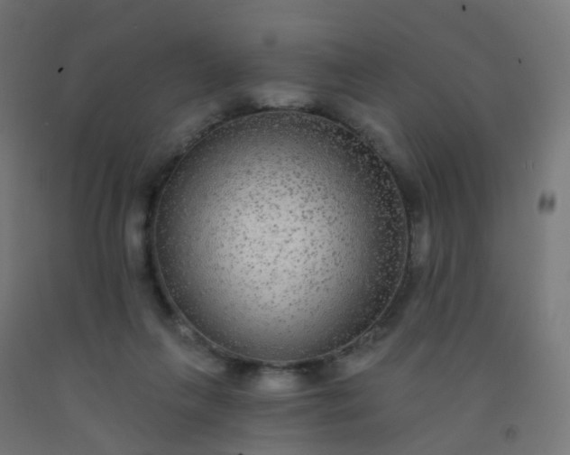 X0000092320263200709281412