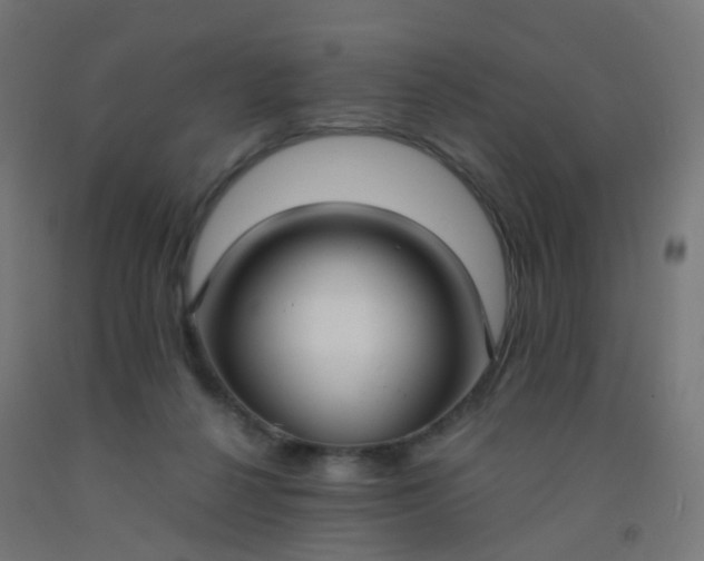 X0000092320264200709281412