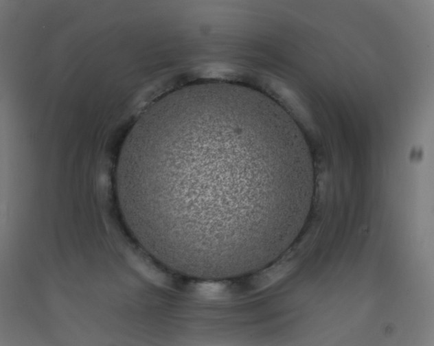 X0000092320265200709281412