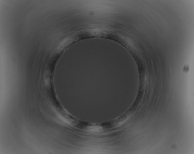 X0000092320266200709281412