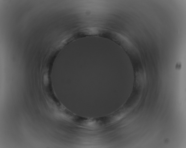 X0000092320267200709281412