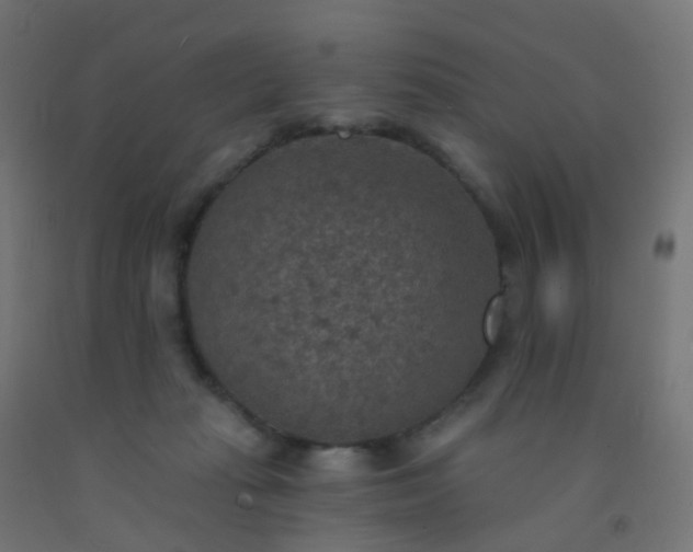 X0000092320269200709281412