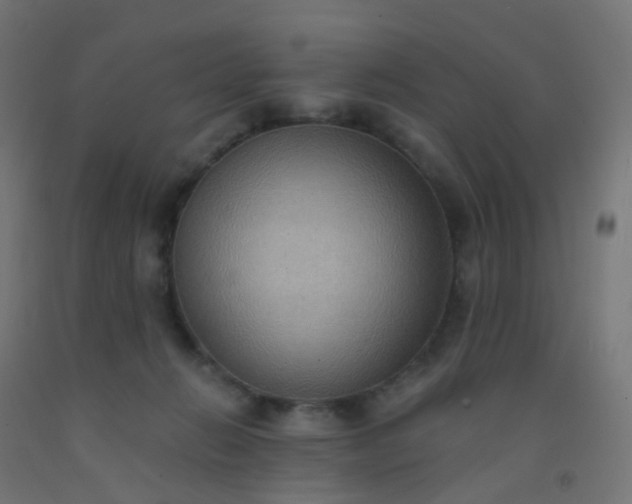 X0000092320270200709281412