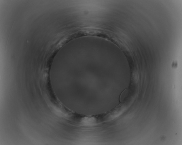 X0000092320271200709281412