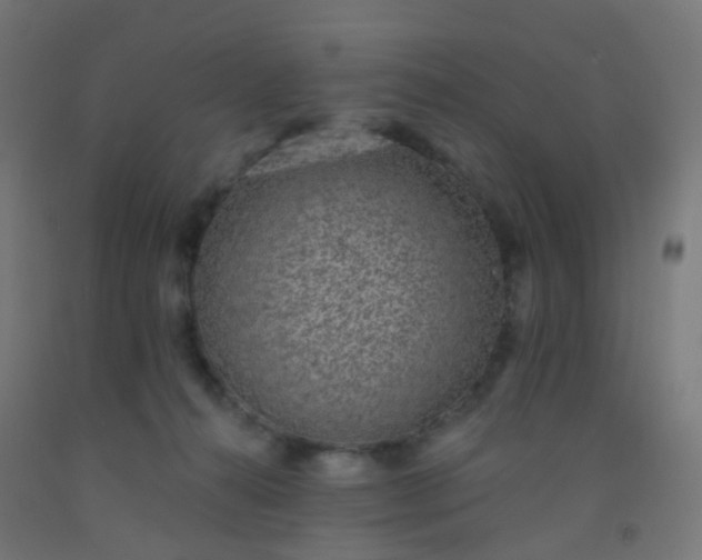 X0000092320272200709281412