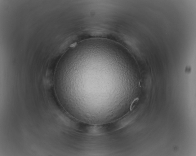 X0000092320273200709281412