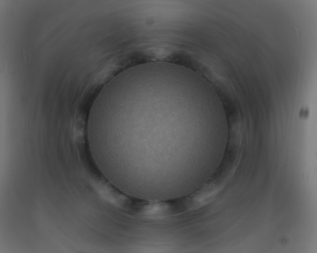X0000092320274200709281412