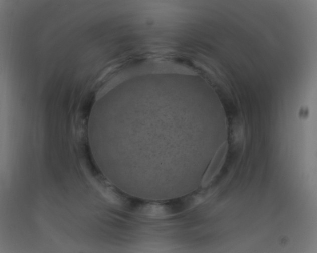 X0000092320276200709281412