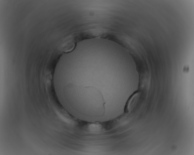 X0000092320279200709281412