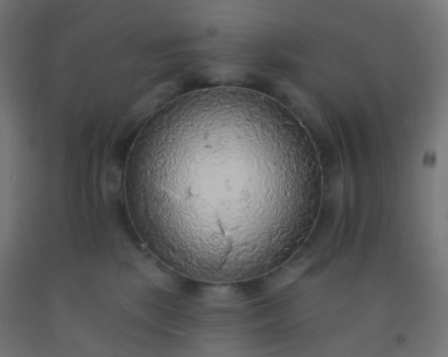 X0000092320281200709281412