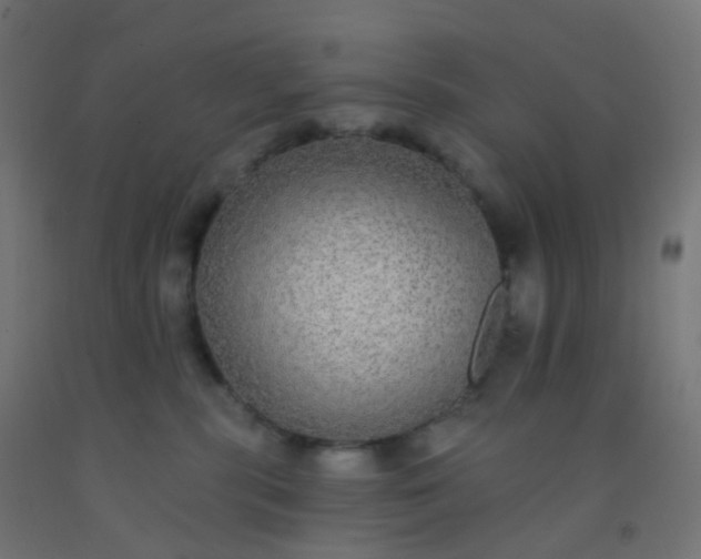 X0000092320283200709281412
