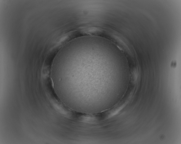 X0000092320284200709281412