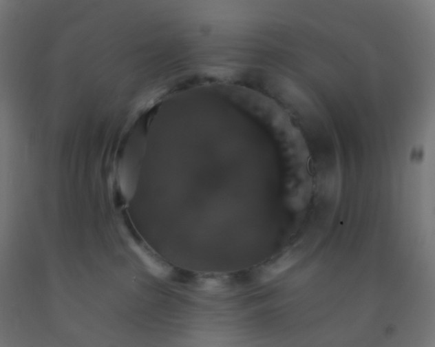 X0000092320285200709281412