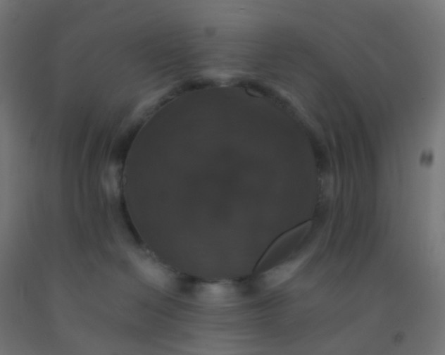 X0000092320286200709281412