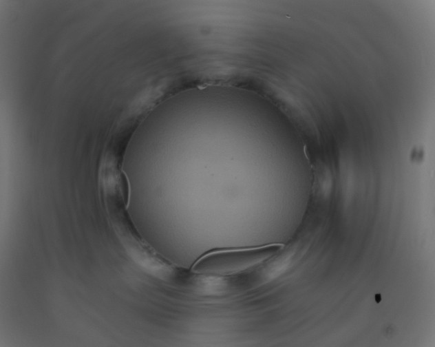 X0000092320287200709281412