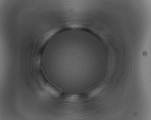 X0000092320288200709281412