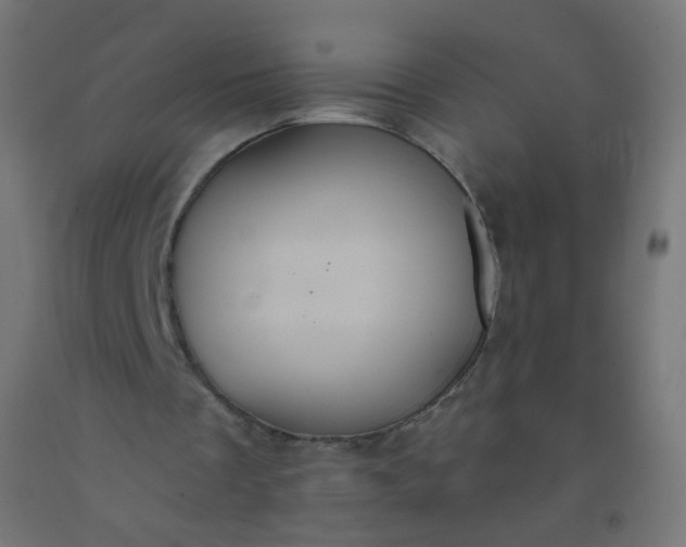 X0000092320289200709281412