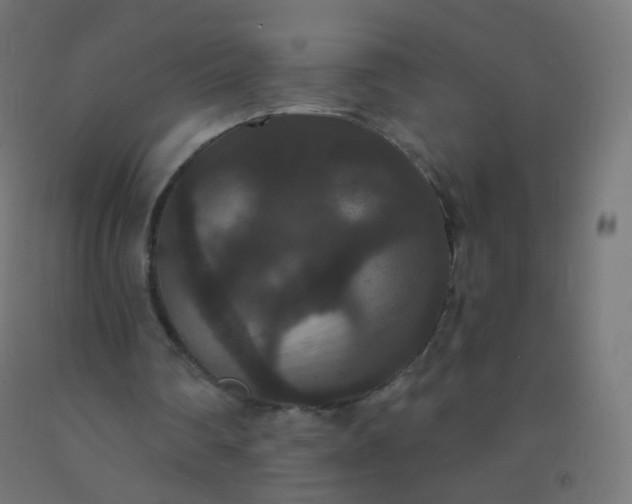 X0000092320290200709281412