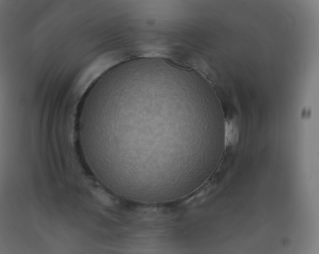 X0000092320291200709281412