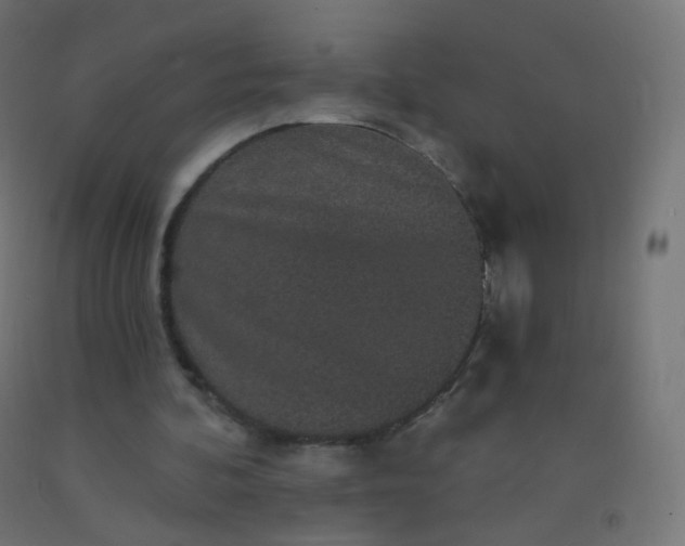 X0000092320292200709281412