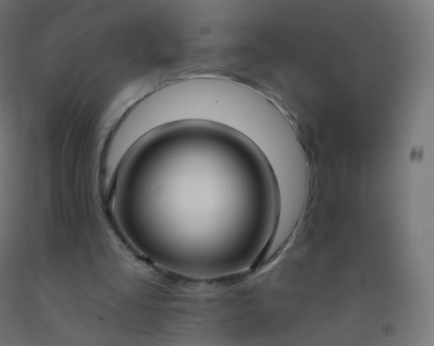 X0000092320293200709281412