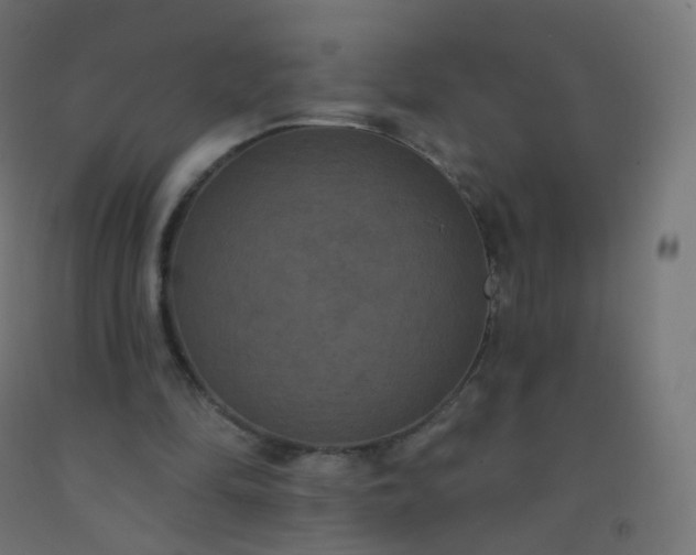 X0000092320294200709281412