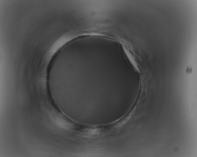 X0000092320295200709281412