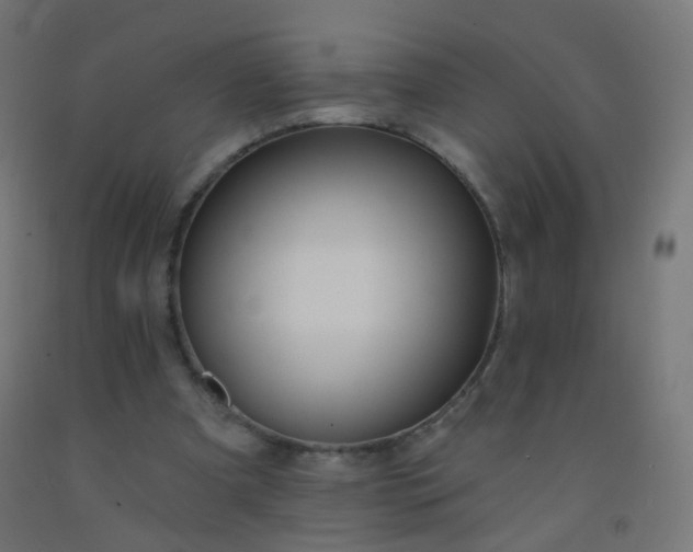 X0000092320297200709281411
